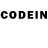 Псилоцибиновые грибы GOLDEN TEACHER Mr Duck5005