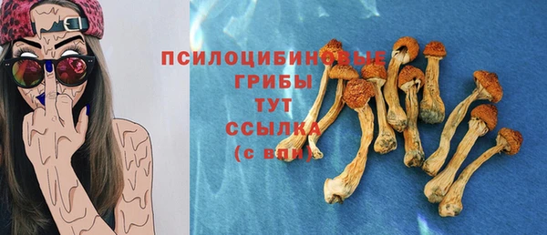 2c-b Абдулино